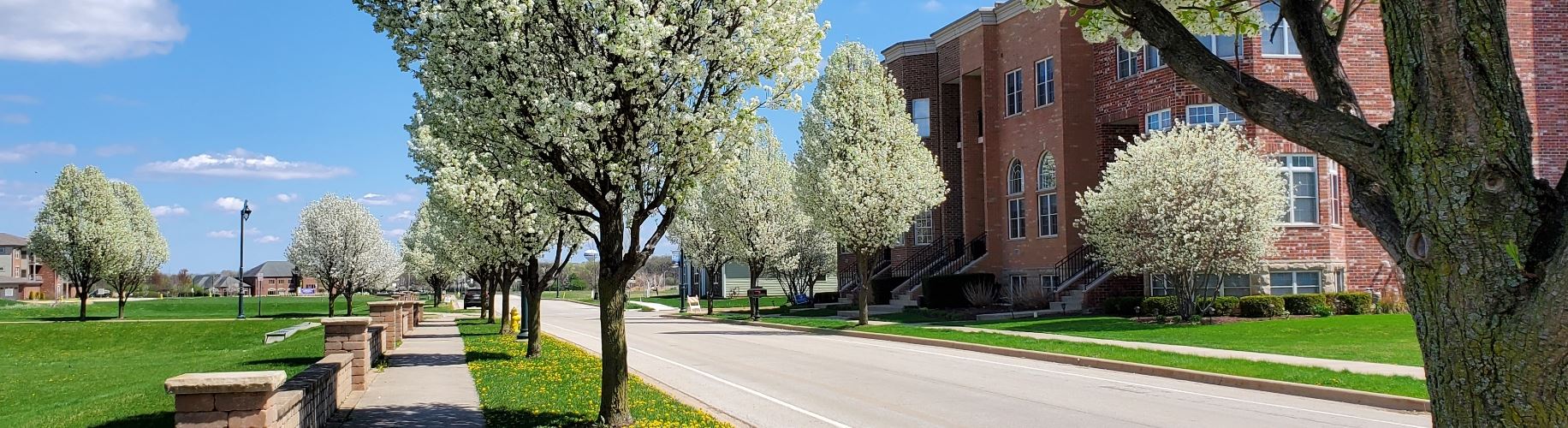 View of building and trees