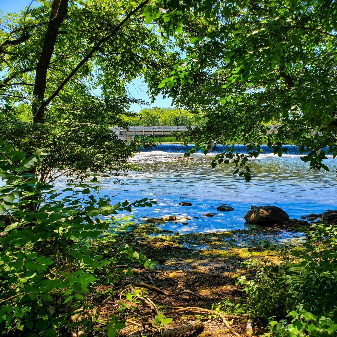 Photo of dam at Channahon State Park