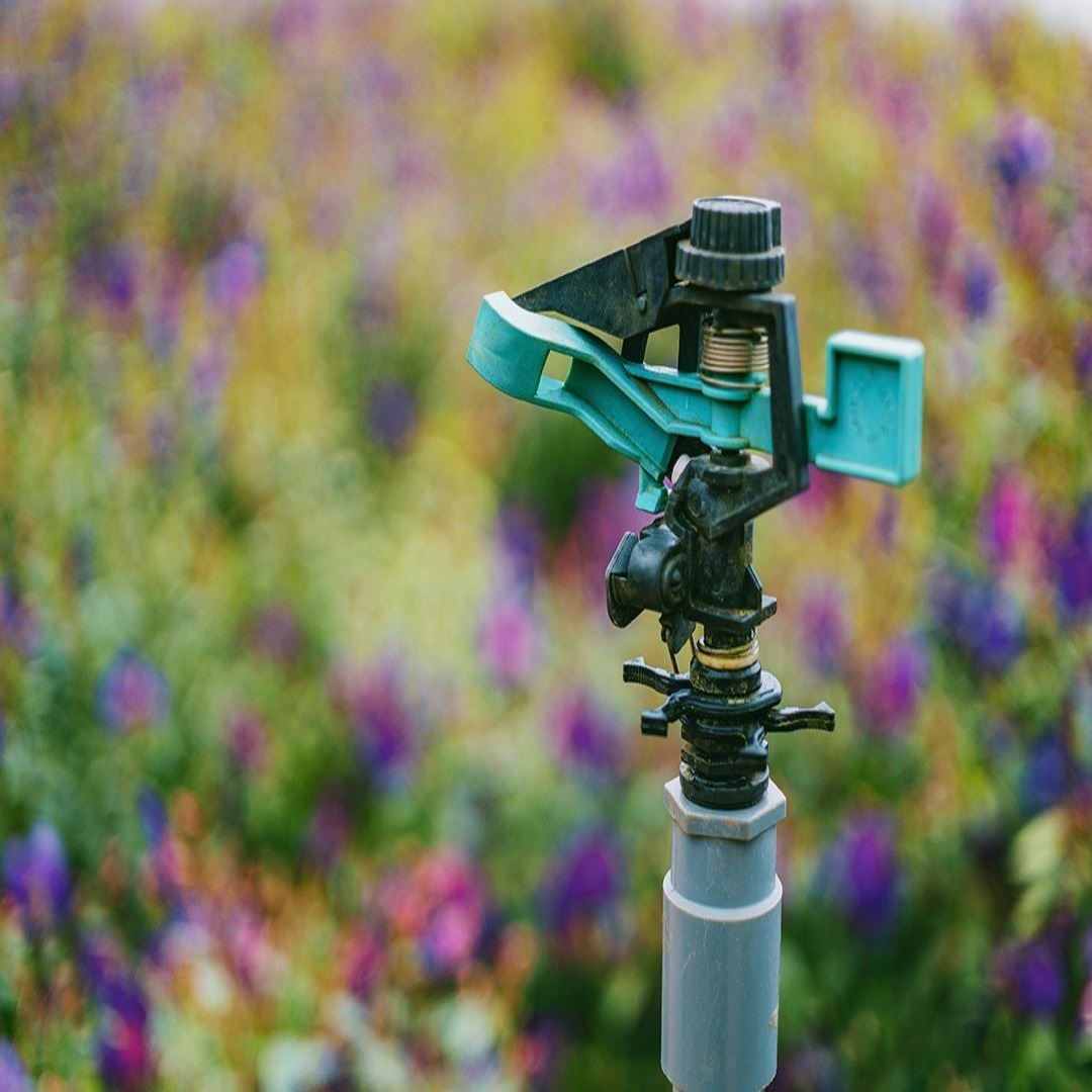 Picture of a sprinkler watering a lawn