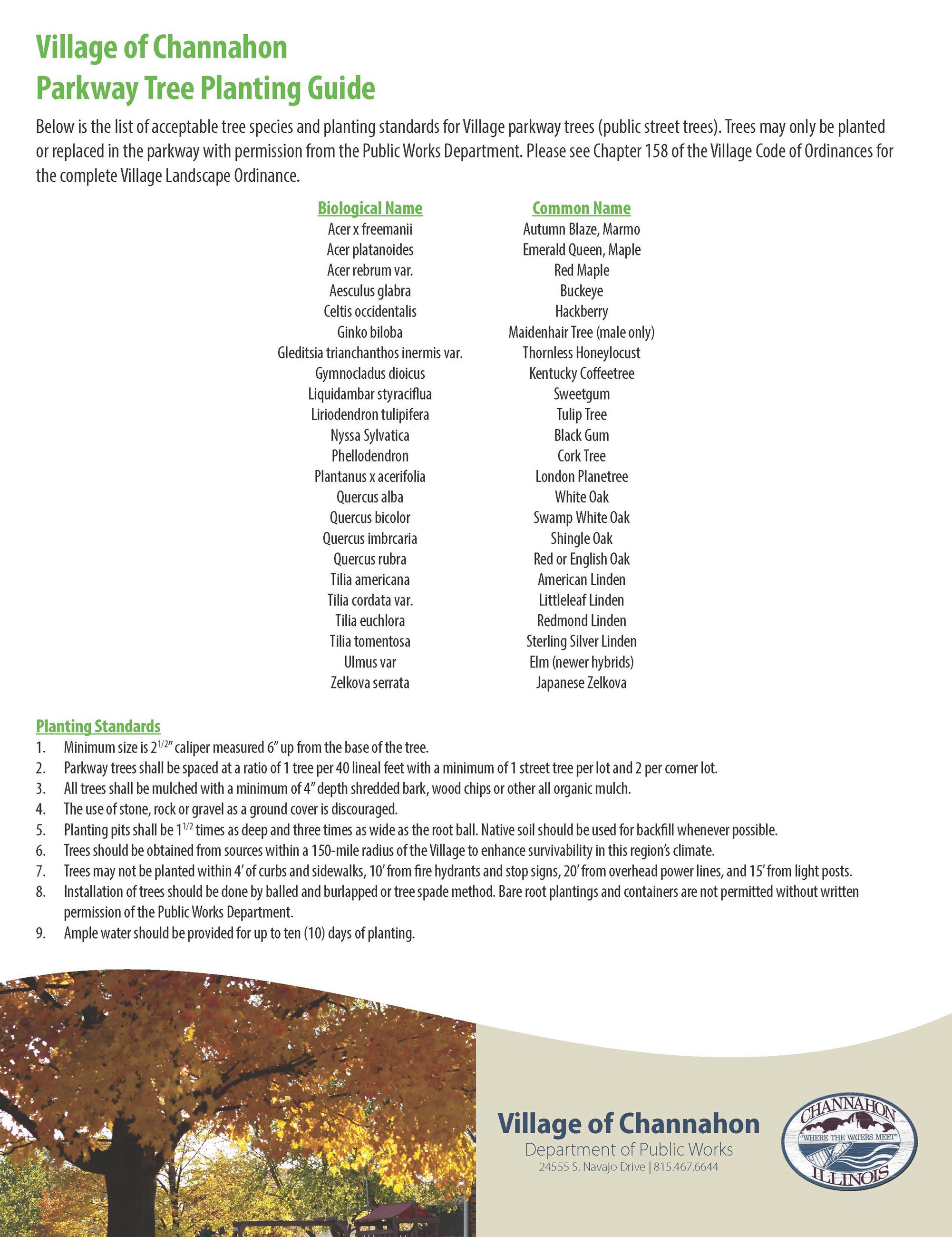 PW Tree Replacement Program_Page_2